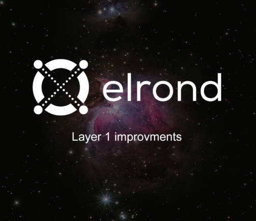 Elrond blockchain layer 1 improvments